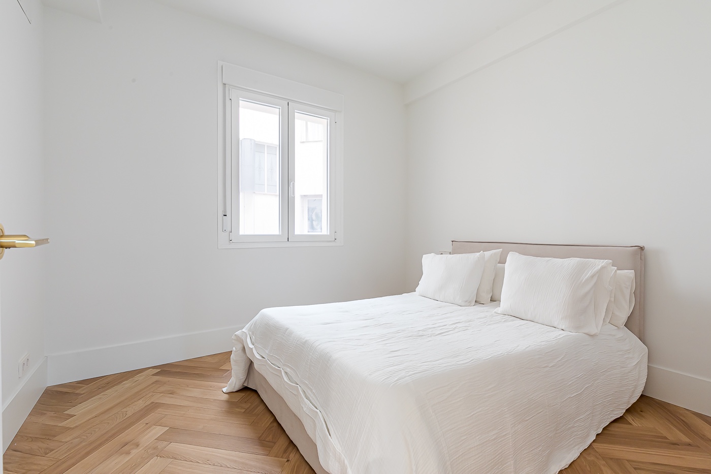 WhatsApp Image 2026-02-13 at 19.12.20 (2)